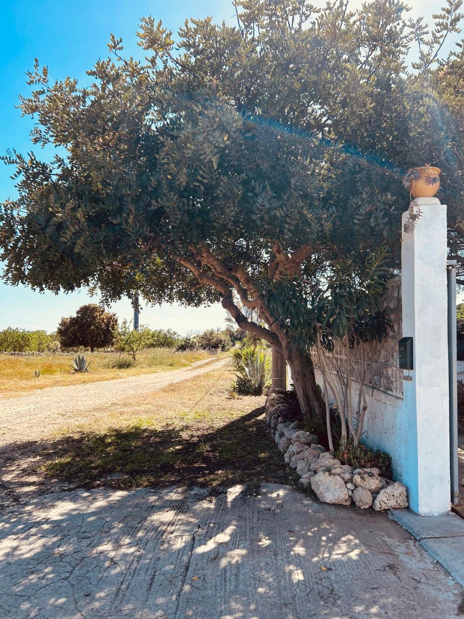 Dream Holiday Marina di Lizzano Dış mekan fotoğraf
